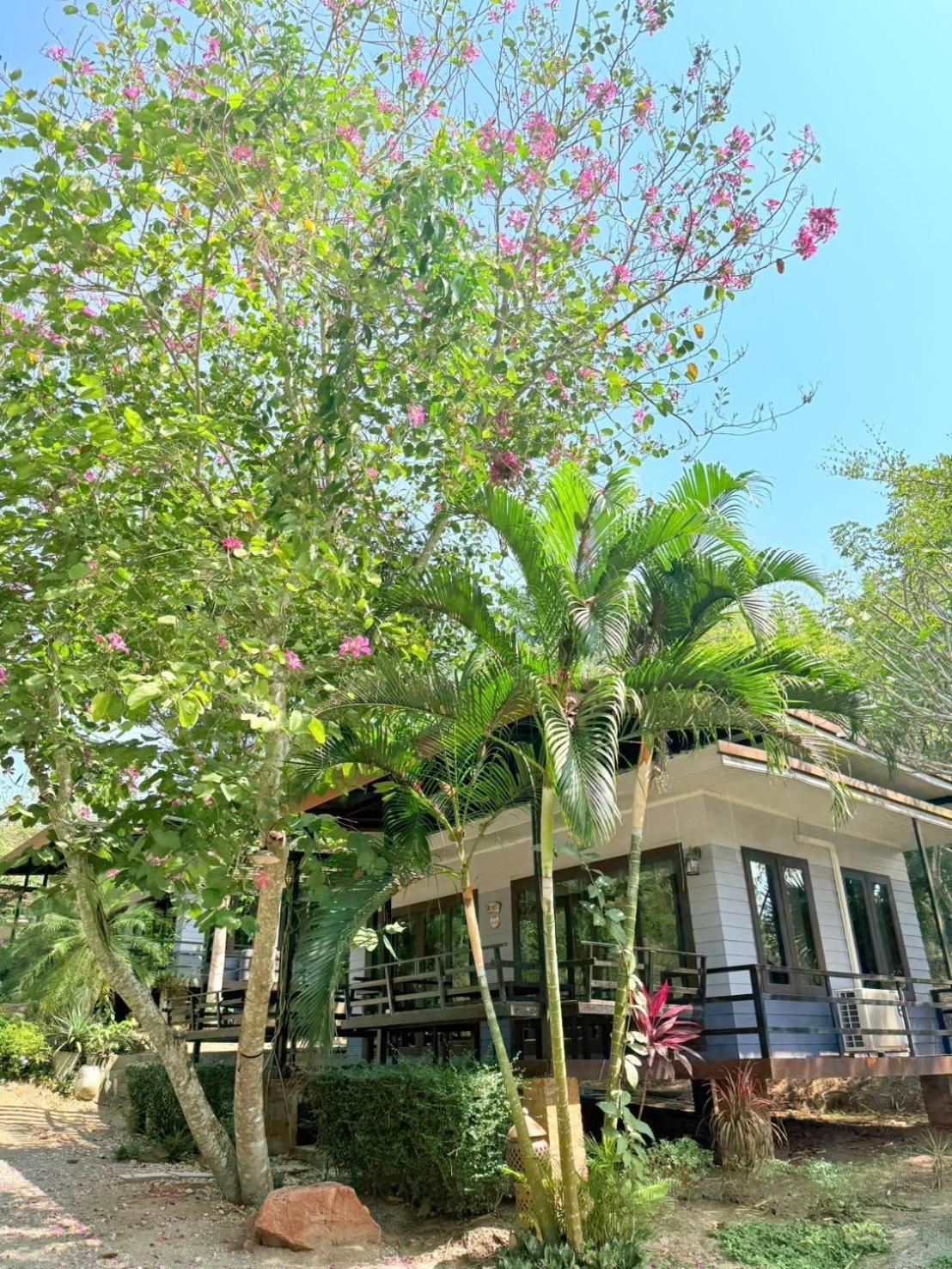 Baan Suan Hill Resort Ban Tha Khun Esterno foto